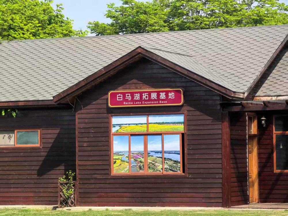 图片 11.png